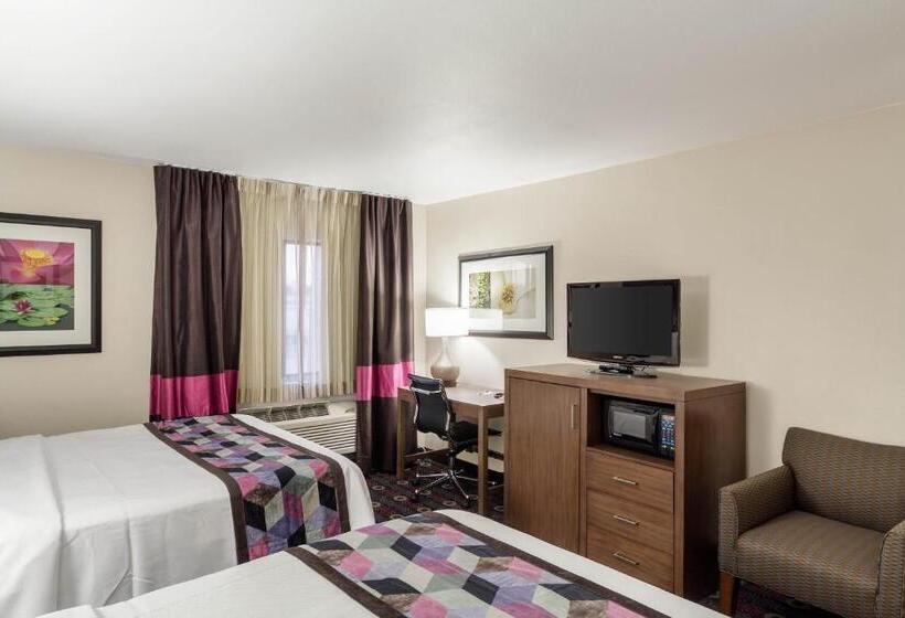 غرفه قياسيه سريرين مزدوجين, Comfort Inn Midtown