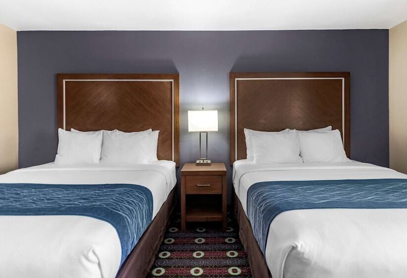 ２ダブルベッドのスタンダードルーム, Comfort Inn Midtown