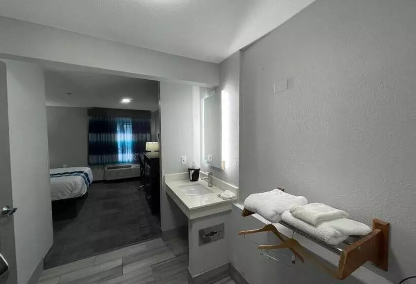اتاق لوکس با تخت بزرگ, La Quinta Inn By Wyndham Indianapolis Airport Executive Dr