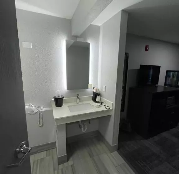 اتاق لوکس با تخت بزرگ, La Quinta Inn By Wyndham Indianapolis Airport Executive Dr