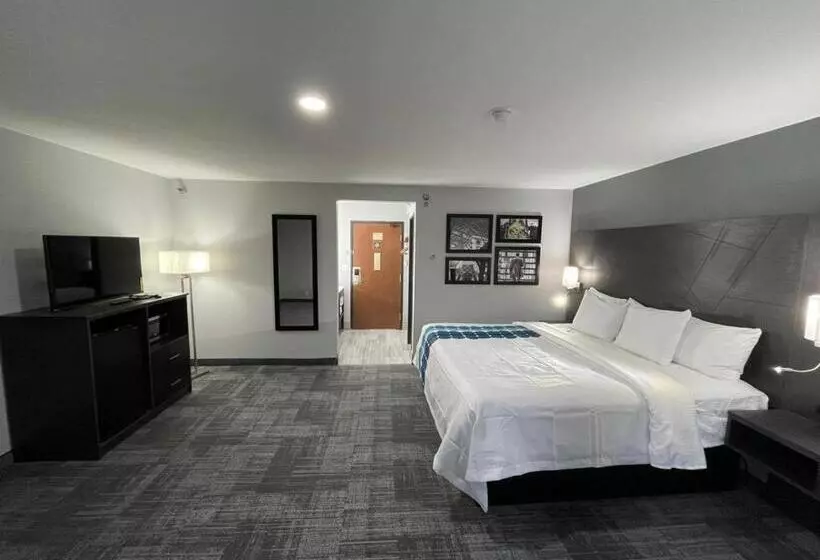 اتاق لوکس با تخت بزرگ, La Quinta Inn By Wyndham Indianapolis Airport Executive Dr