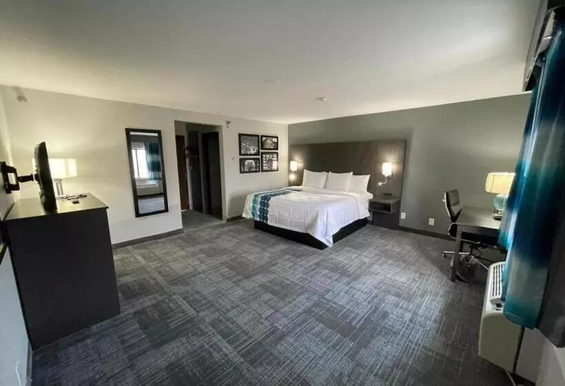 Deluxe Suite King Bed, La Quinta Inn By Wyndham Indianapolis Airport Executive Dr