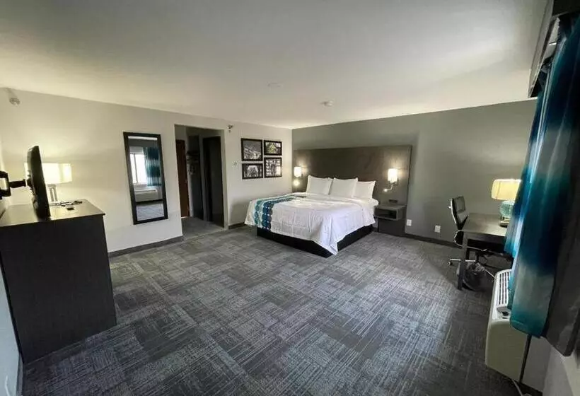 Deluxe Suite King Bed, La Quinta Inn By Wyndham Indianapolis Airport Executive Dr