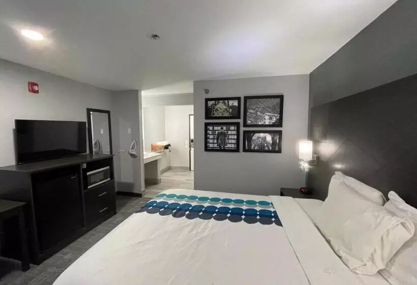 اتاق دلوکس مخصوص معلولین, La Quinta Inn By Wyndham Indianapolis Airport Executive Dr