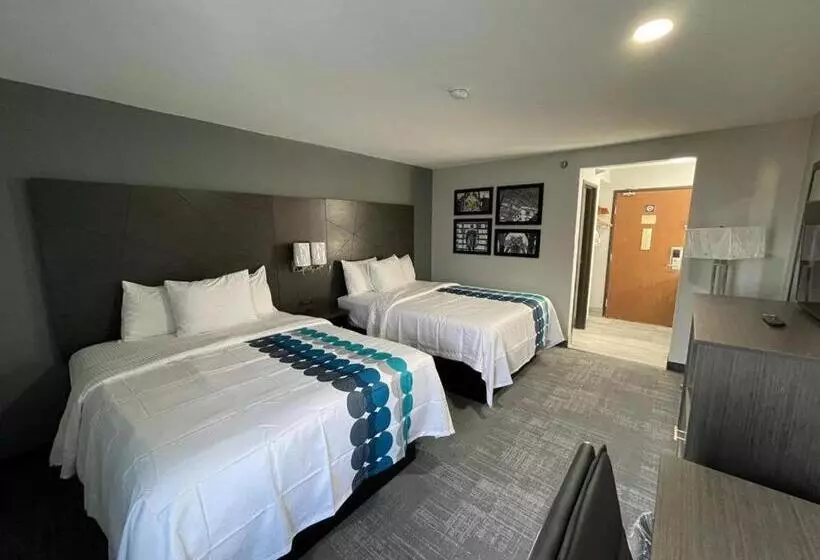 استودیوی استاندارد, La Quinta Inn By Wyndham Indianapolis Airport Executive Dr