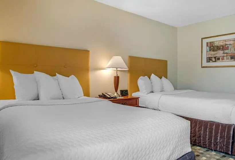 ２ダブルベッドのスタンダードルーム, Quality Hotel Conference Center Cincinnati Blue Ash