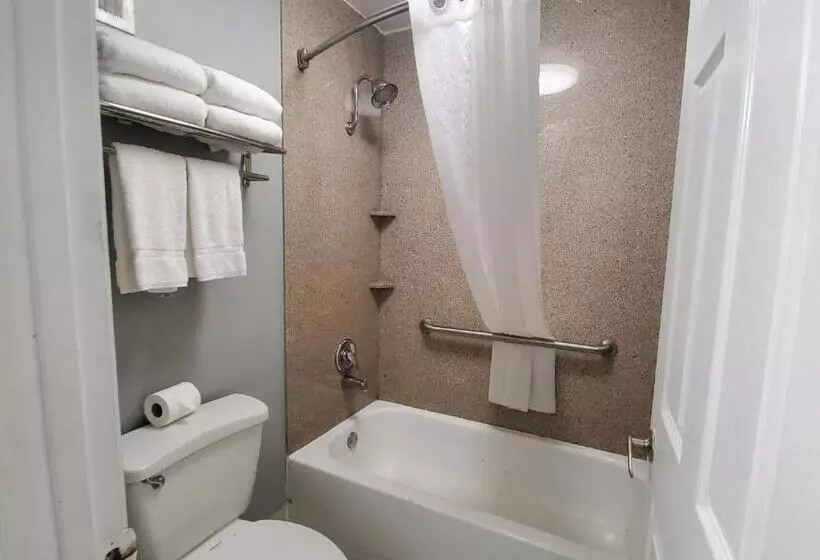 スタンダードルーム, Vero Beach Inn & Suites Vero Beach I 95