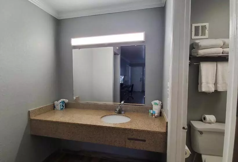 キングサイズベッドのデラックスルーム, Vero Beach Inn & Suites Vero Beach I 95