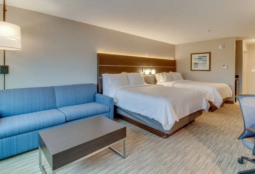 スイート, Holiday Inn Express & Suites   Union City, An Ihg