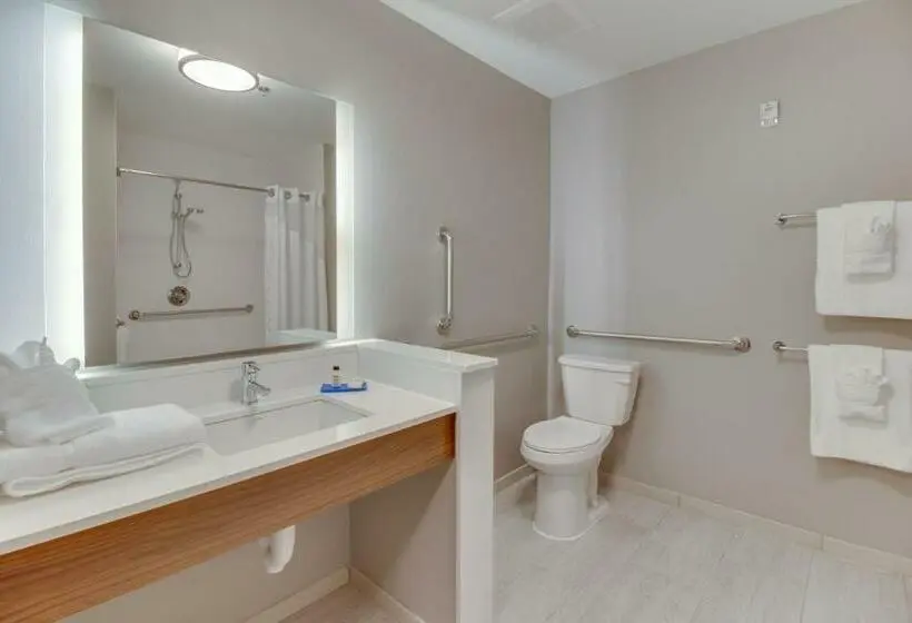 身障者適用キングサイズベッドルーム, Holiday Inn Express & Suites   Union City, An Ihg