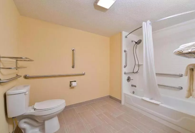 身障者適用キングサイズベッドルーム, Americas Best Value Inn Tupelo Barnes Crossing