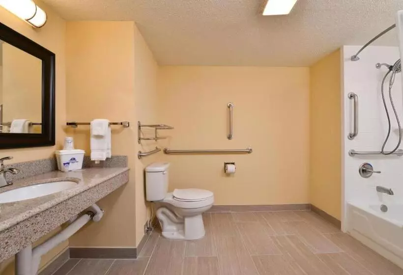身障者適用キングサイズベッドルーム, Americas Best Value Inn Tupelo Barnes Crossing