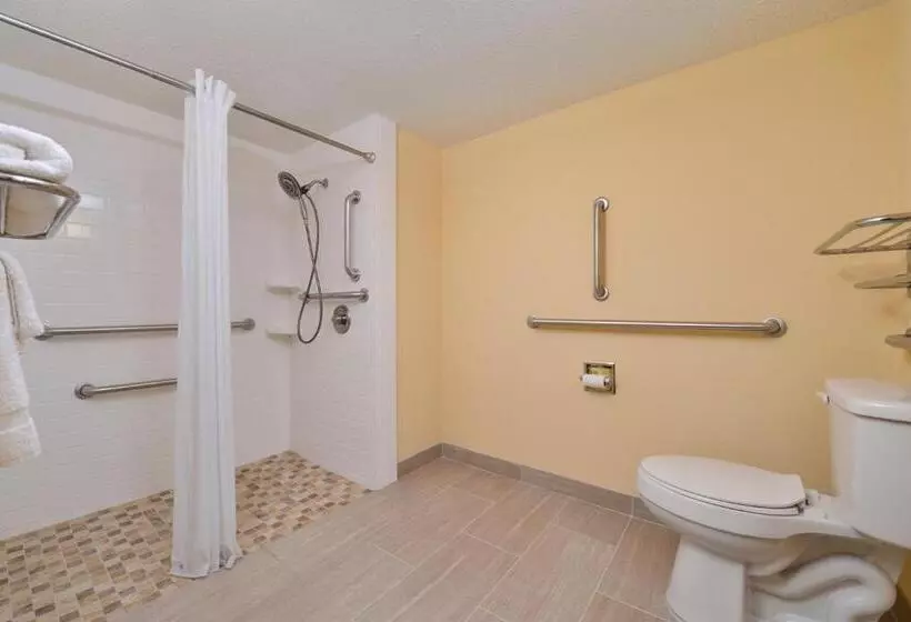 身障者適用スタンダードルーム, Americas Best Value Inn Tupelo Barnes Crossing