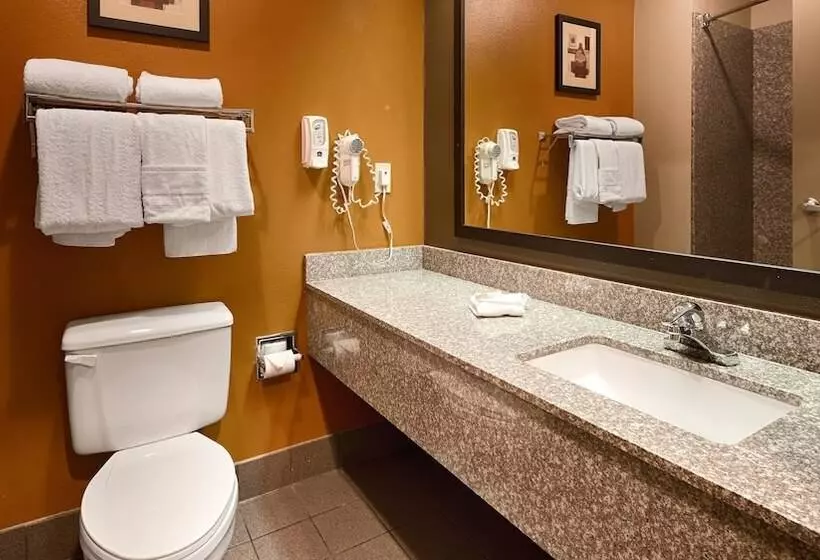エクゼクティブルーム, Best Western Inn & Suites