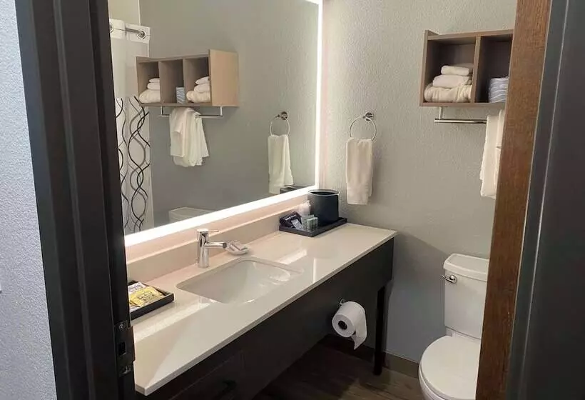 2ダブルベッドのスタンダードルーム, Best Western Lake Lucille Inn