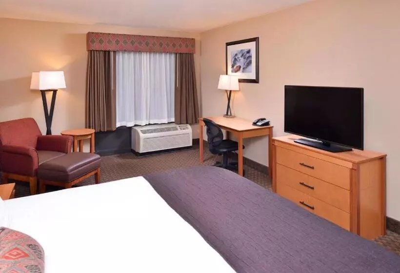 اتاق استاندارد با تخت بزرگ, Best Western Plus Olympic Inn