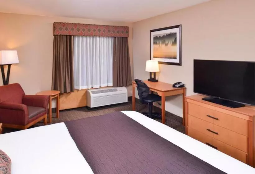 اتاق استاندارد با تخت بزرگ, Best Western Plus Olympic Inn