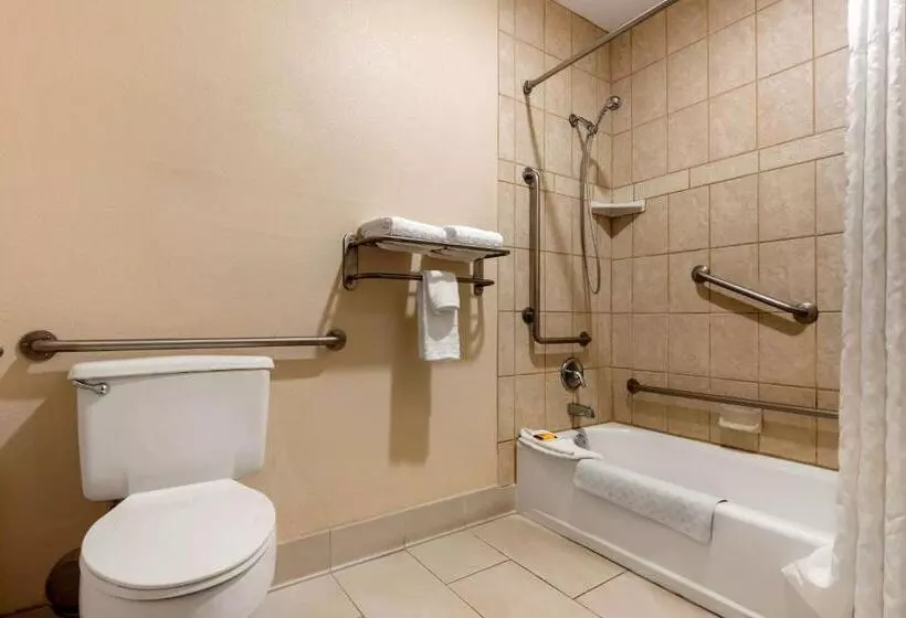 اتاق استاندارد با تخت بزرگ برای معلولان, Best Western Plus Olympic Inn