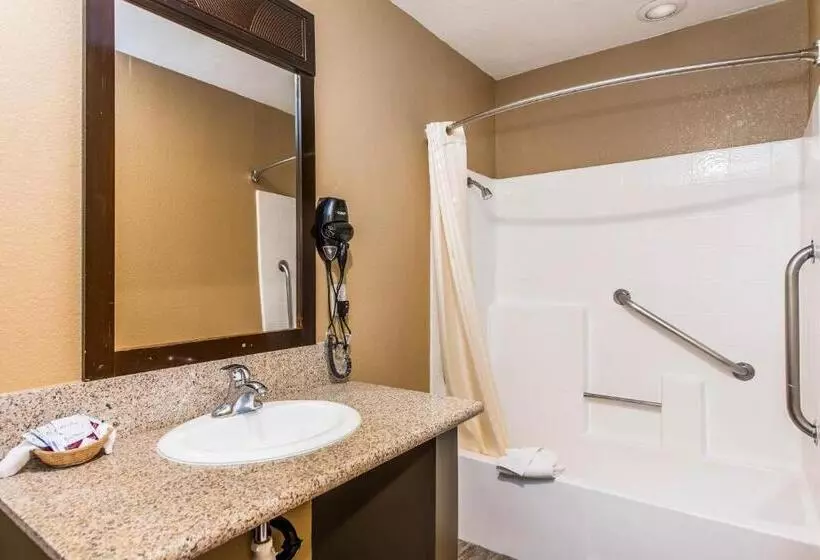 اتاق استاندارد با تخت بزرگ, Budget Inn
