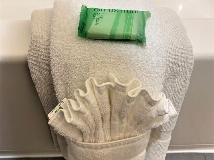 スタンダードルーム, Holiday Inn Dublin Pleasanton, An Ihg