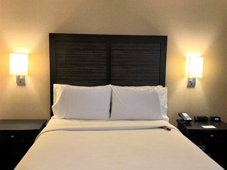 スタンダードルーム, Holiday Inn Dublin Pleasanton, An Ihg