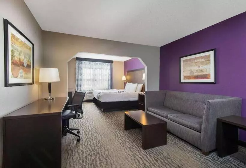 اتاق لوکس با تخت بزرگ, La Quinta By Wyndham Erie
