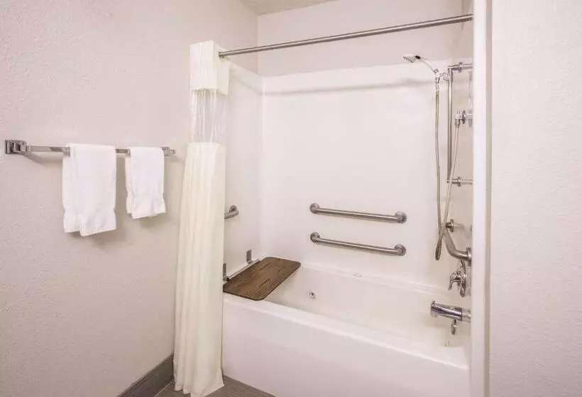 اتاق استاندارد با تخت بزرگ برای معلولان, La Quinta By Wyndham Erie