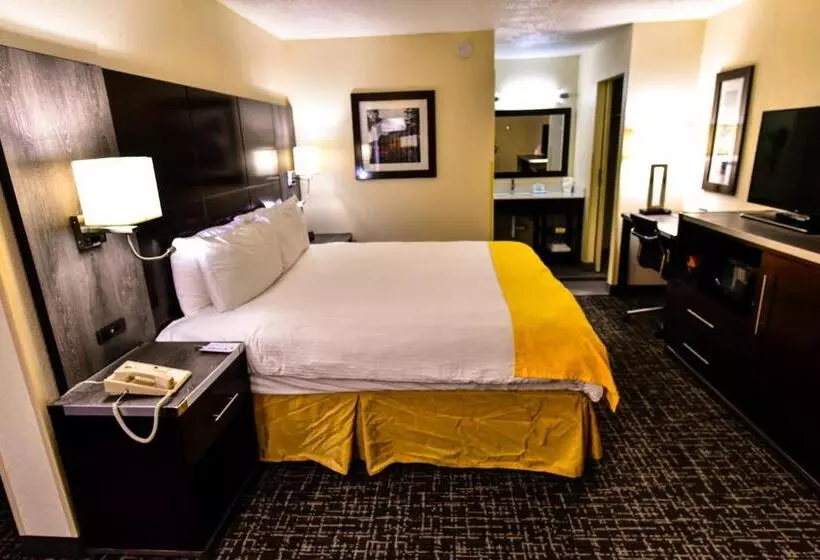 キングサイズベッドのスタンダードルーム, New Hope Inn & Suites