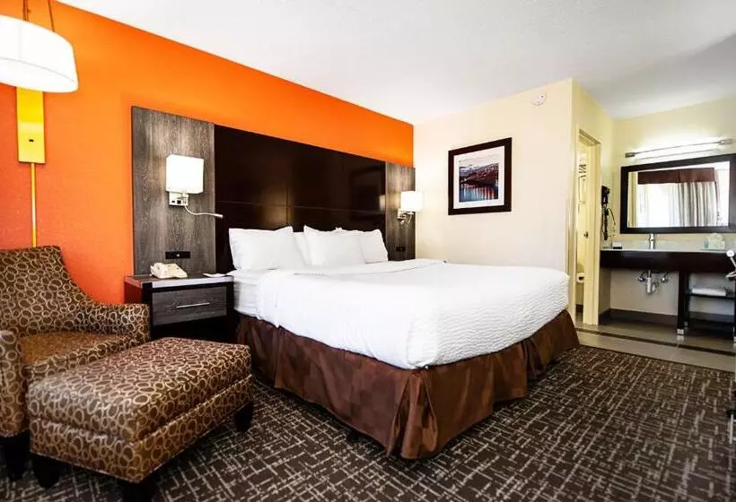 キングサイズベッドのスタンダードルーム, New Hope Inn & Suites