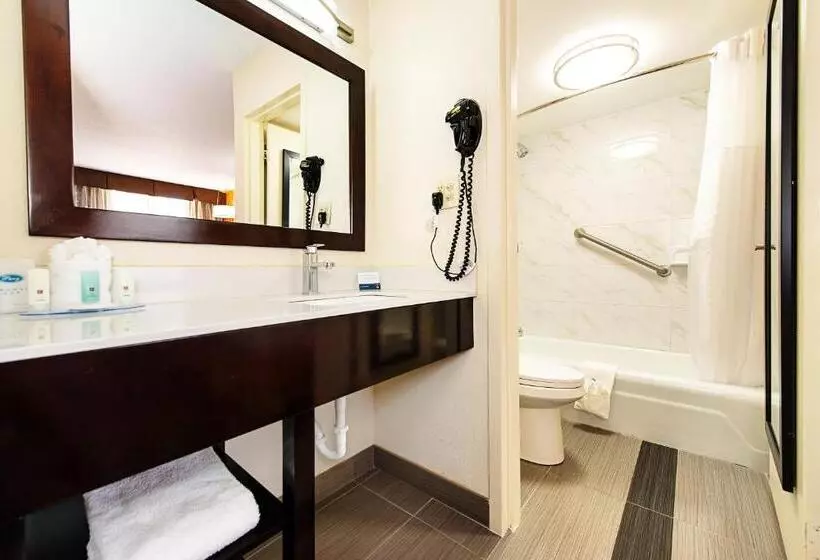 身障者適用キングサイズベッドルーム, New Hope Inn & Suites