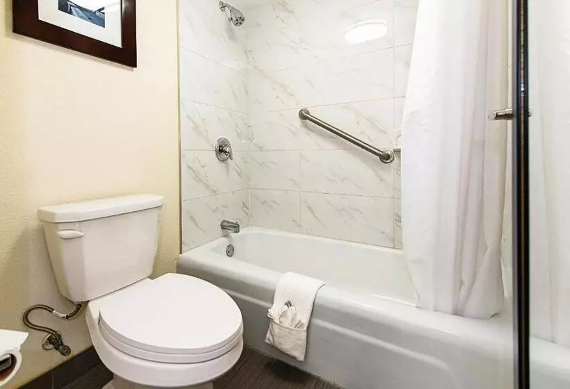身障者適用キングサイズベッドルーム, New Hope Inn & Suites