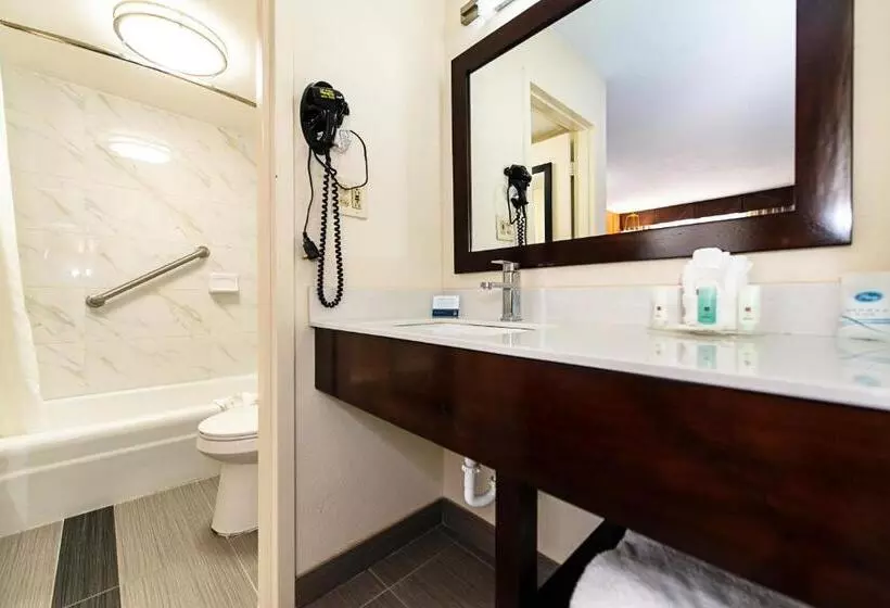 身障者適用キングサイズベッドルーム, New Hope Inn & Suites