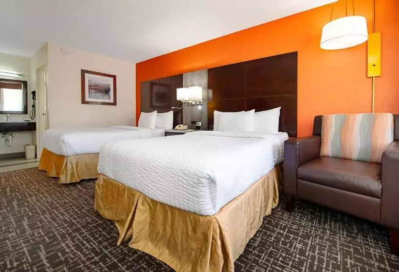 デラックススタジオ, New Hope Inn & Suites