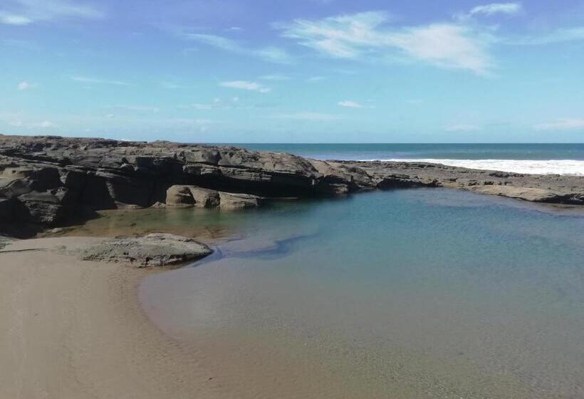 تختخواب در اتاق مشترک, Mola Mola Surf Popoyo