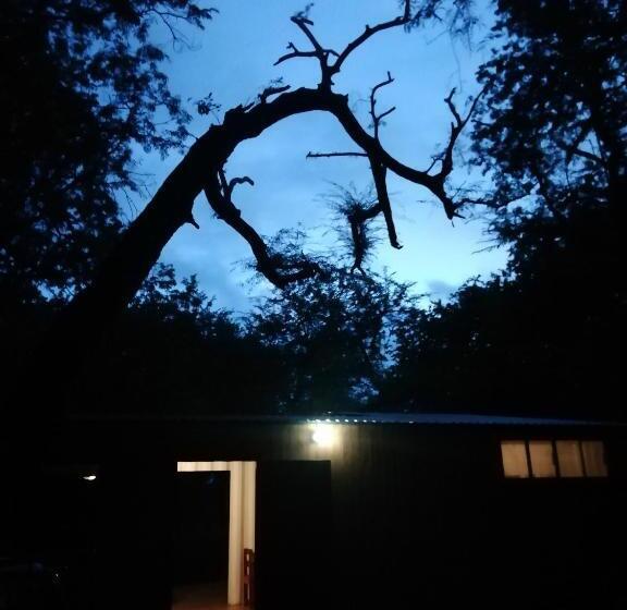 اتاق استاندارد سه نفره, Mola Mola Surf Popoyo