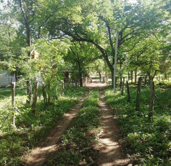 تختخواب در اتاق مشترک, Mola Mola Surf Popoyo