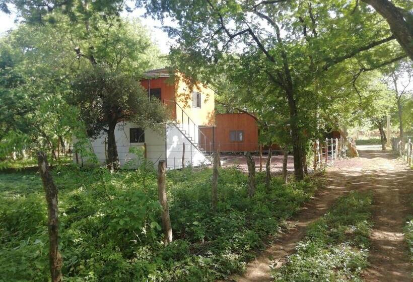 تختخواب در اتاق مشترک, Mola Mola Surf Popoyo