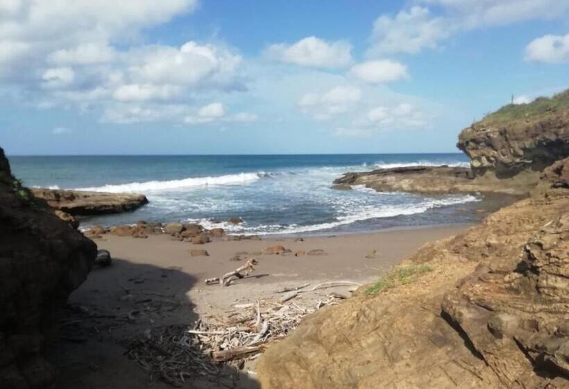 تختخواب در اتاق مشترک, Mola Mola Surf Popoyo