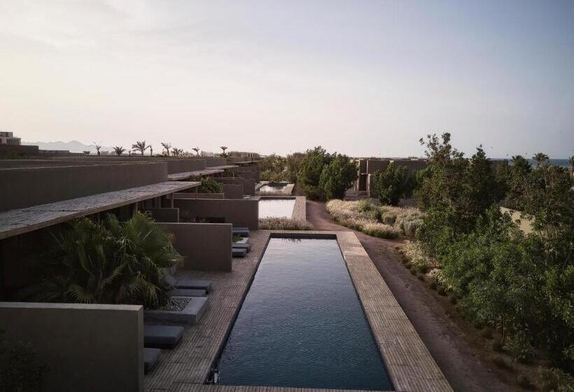 ジュニアスイート, Casa Cook El Gouna   Adults Only