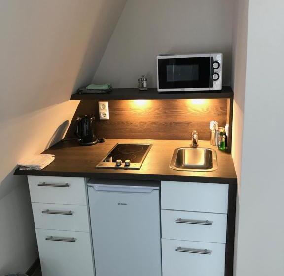 스탠다드 스튜디오, Haidhus