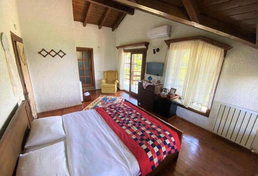 اتاق سوپریور با تخت بزرگ, Rif Sapanca   Adult Only