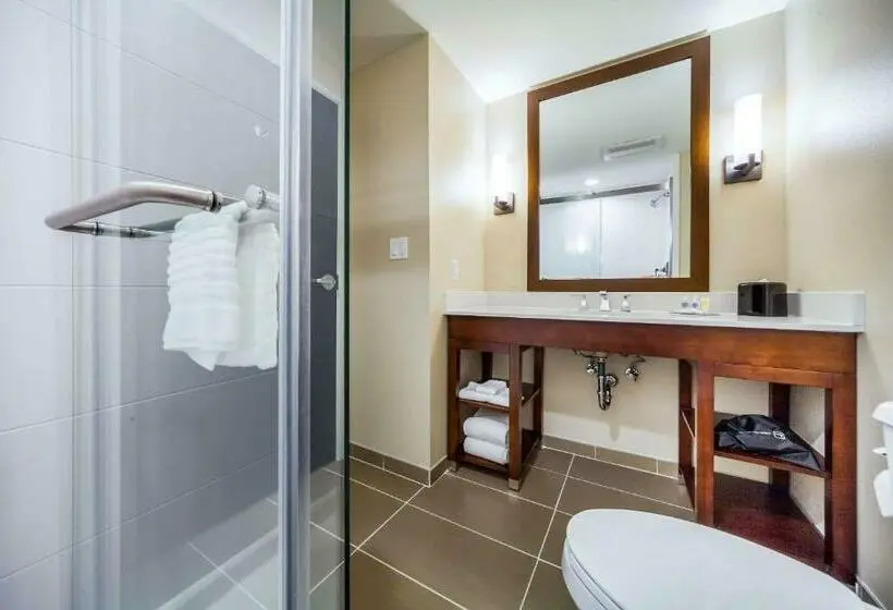 اتاق استاندارد با تخت بزرگ, Comfort Inn & Suites North Platte I80