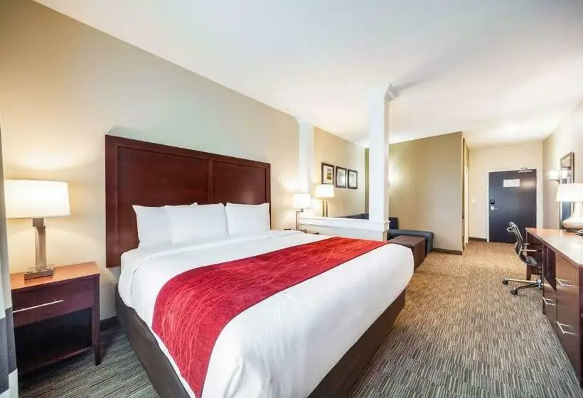 سوئیت با تخت بزرگ, Comfort Inn & Suites North Platte I80