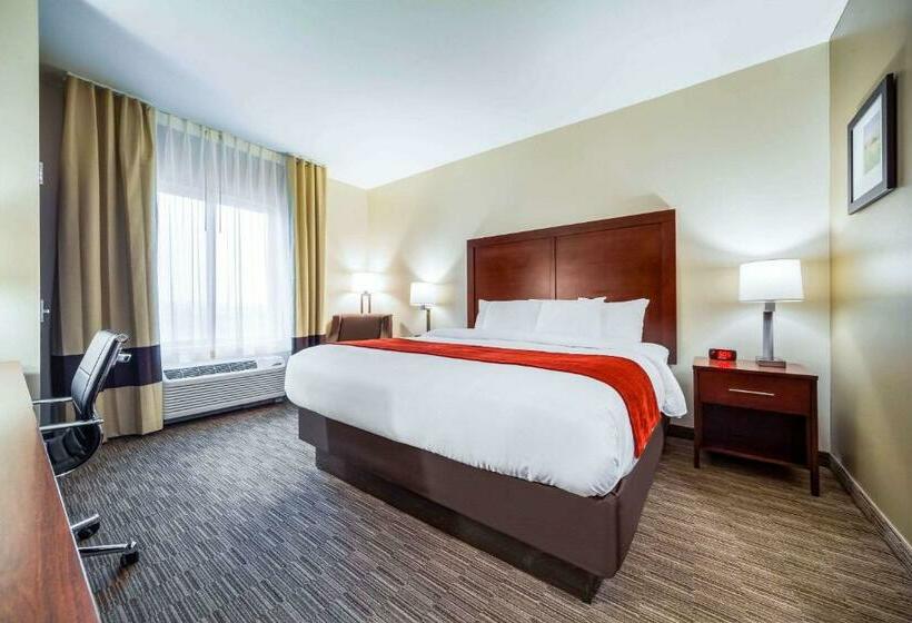 장애인을 위한 킹사이즈 침대 스탠다드 룸, Comfort Inn & Suites North Platte I80