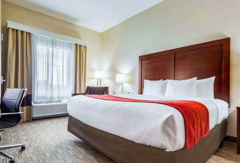 장애인을 위한 스탠다드 룸, Comfort Inn & Suites North Platte I80