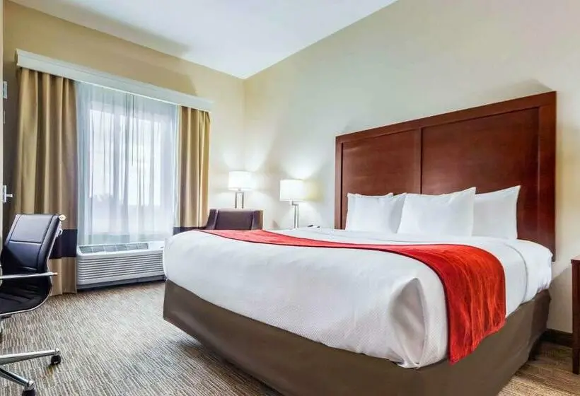 اتاق استاندارد برای معلولان, Comfort Inn & Suites North Platte I80