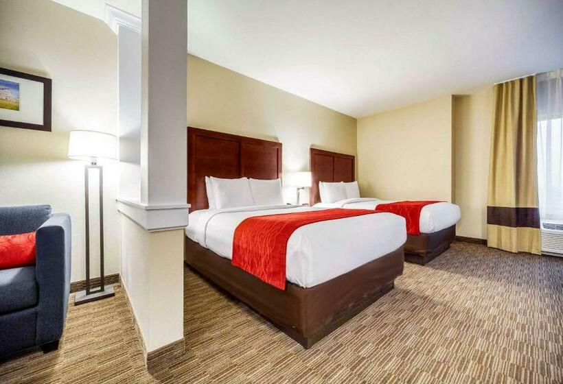 장애인을 위한 스위트, Comfort Inn & Suites North Platte I80