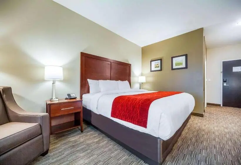 اتاق استاندارد با تخت بزرگ, Comfort Inn & Suites North Platte I80