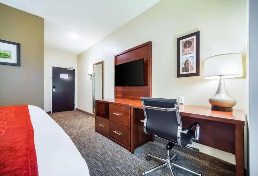 اتاق استاندارد با تخت بزرگ, Comfort Inn & Suites North Platte I80