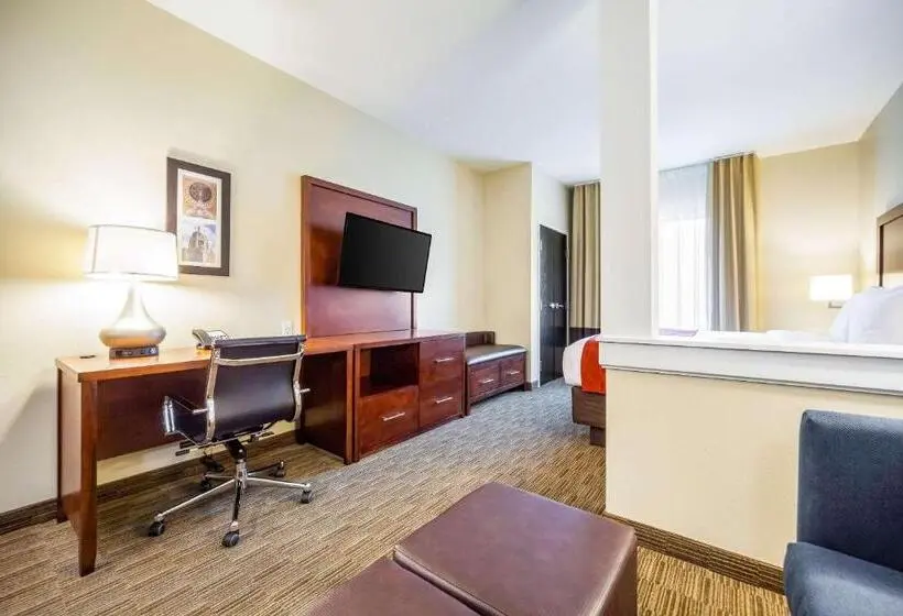 سوئیت با تخت بزرگ, Comfort Inn & Suites North Platte I80